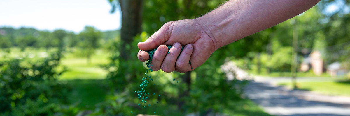 hand sprinkling fertilizer